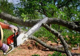 Seasonal Cleanup (Spring/Fall) in Ferron, UT